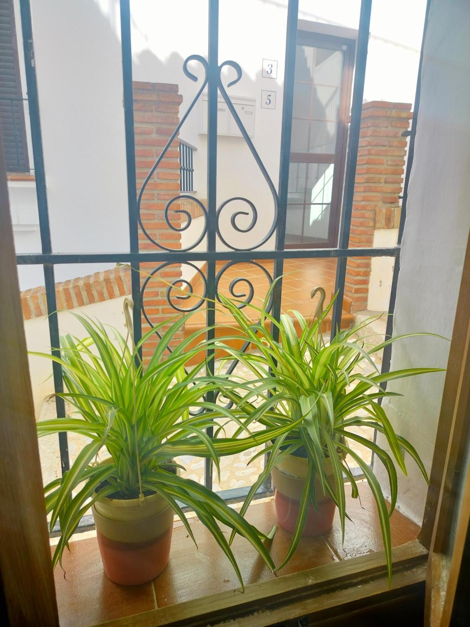 Casita Del Tejedor Apartment Frigiliana