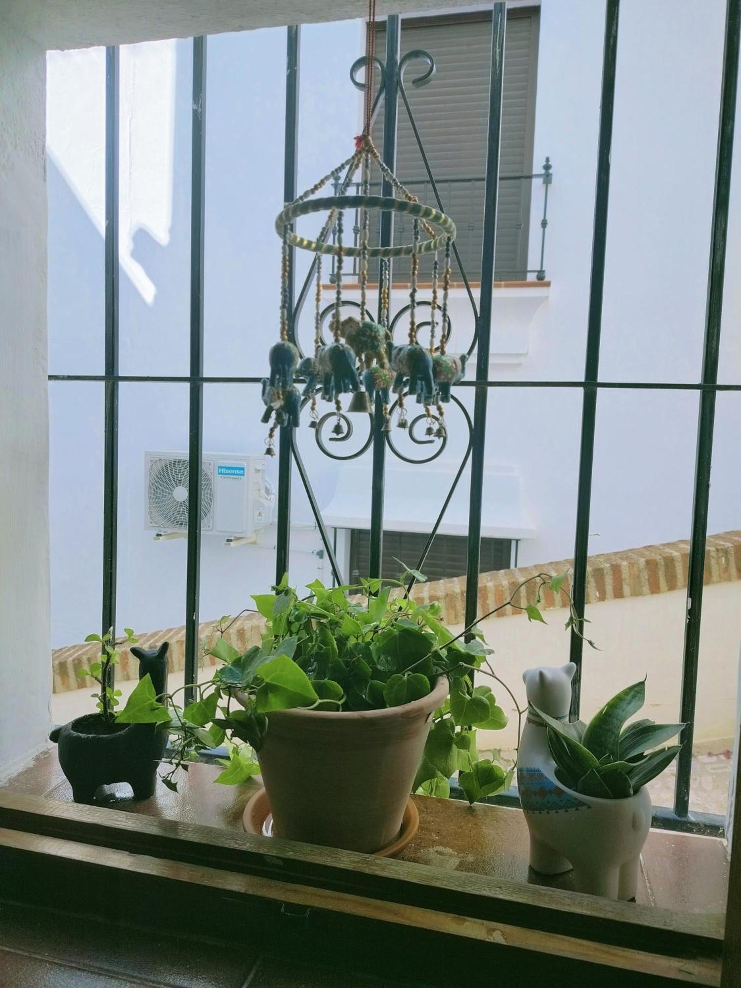 Appartement Casita Del Tejedor *